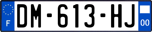 DM-613-HJ