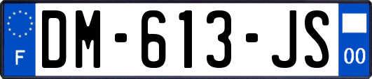 DM-613-JS