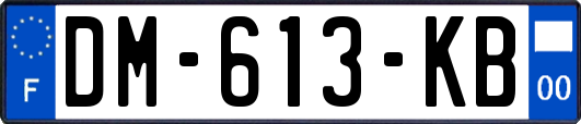 DM-613-KB