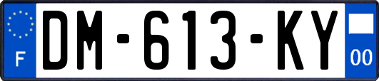 DM-613-KY