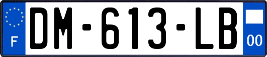 DM-613-LB