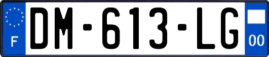 DM-613-LG