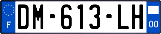 DM-613-LH