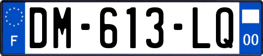 DM-613-LQ