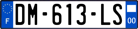 DM-613-LS