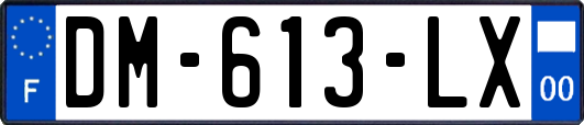 DM-613-LX