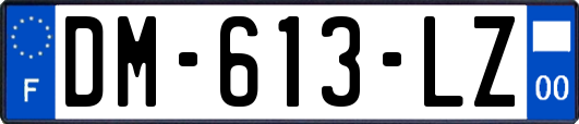 DM-613-LZ