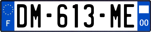 DM-613-ME