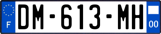 DM-613-MH