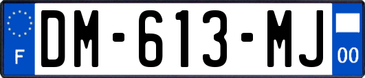 DM-613-MJ