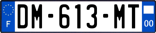 DM-613-MT