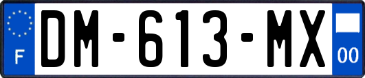 DM-613-MX
