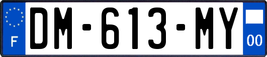 DM-613-MY