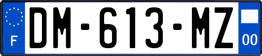 DM-613-MZ
