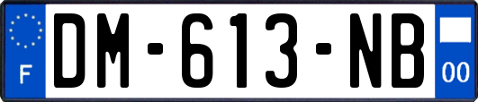 DM-613-NB