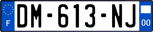 DM-613-NJ