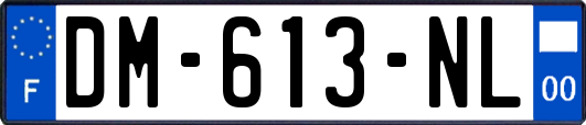 DM-613-NL