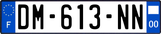 DM-613-NN