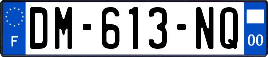 DM-613-NQ