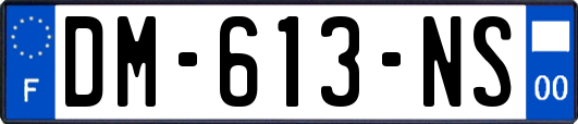 DM-613-NS