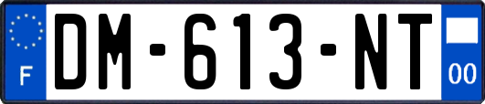 DM-613-NT