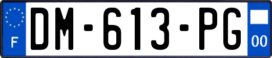 DM-613-PG