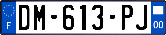 DM-613-PJ