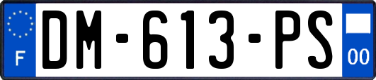 DM-613-PS