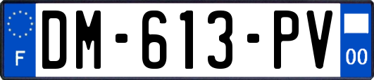 DM-613-PV