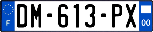 DM-613-PX