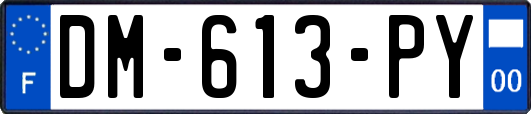 DM-613-PY
