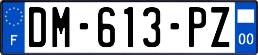 DM-613-PZ