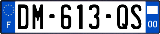 DM-613-QS