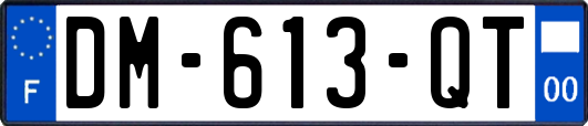 DM-613-QT