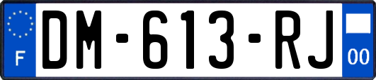 DM-613-RJ