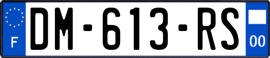 DM-613-RS