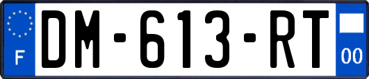DM-613-RT