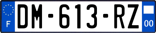 DM-613-RZ