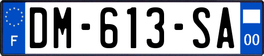 DM-613-SA