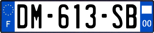 DM-613-SB