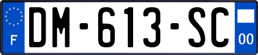 DM-613-SC