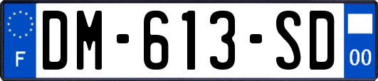 DM-613-SD
