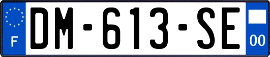 DM-613-SE