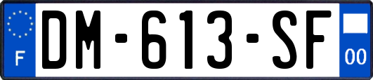 DM-613-SF