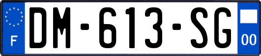 DM-613-SG