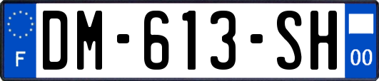 DM-613-SH