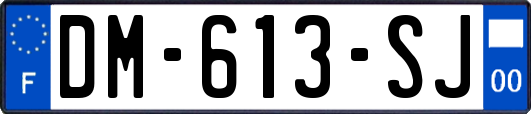 DM-613-SJ