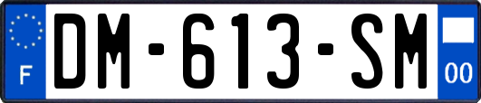 DM-613-SM