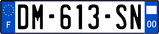DM-613-SN