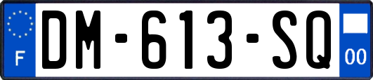 DM-613-SQ